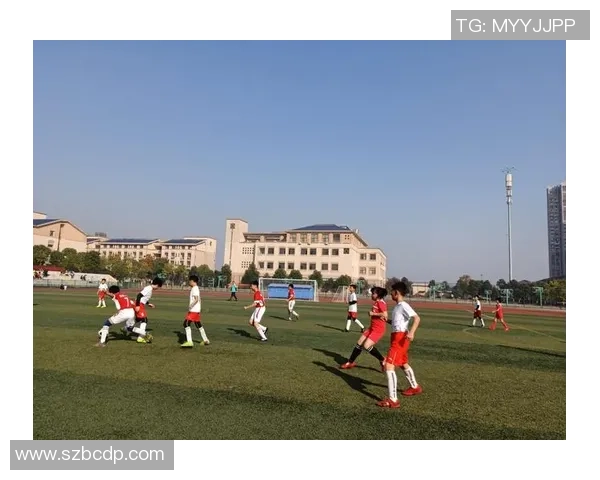 走近绿茵巨星感受足球球星赛场风采与激情魅力 走近绿茵巨星感受足球球星赛场风采与激情魅力