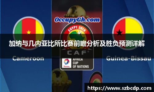 加纳与几内亚比所比赛前瞻分析及胜负预测详解