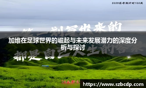 DB旗舰官网