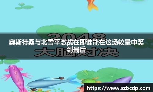 DB旗舰官网