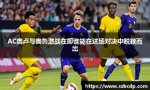 DB旗舰官网